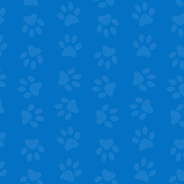 Rescued Animal Tails Creation